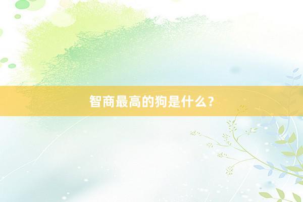 智商最高的狗是什么？